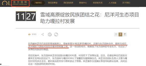 国产一级特黄aa大片,揭秘国产影视的激情与魅力